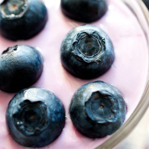Blueberry-Pudding
